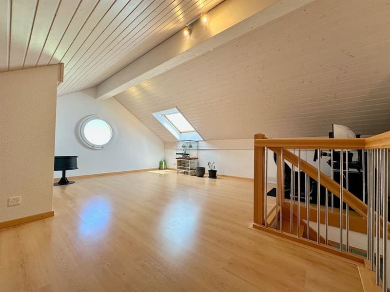 Superbe villa rénovée avec vue panoramique sur les Alpes (11)