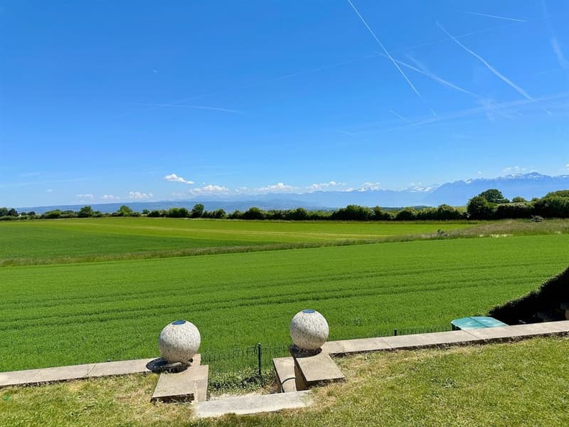 Superbe villa rénovée avec vue panoramique sur les Alpes (4)