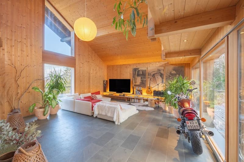 Villa d'architecte d'architecte unique proche de la forêt (11)