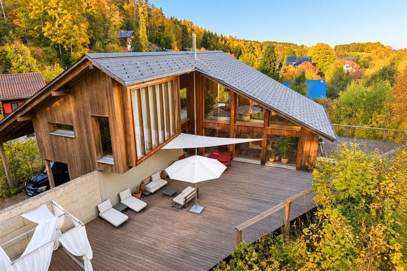 Villa d'architecte d'architecte unique proche de la forêt (2)