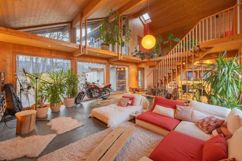 Villa d'architecte d'architecte unique proche de la forêt (3)