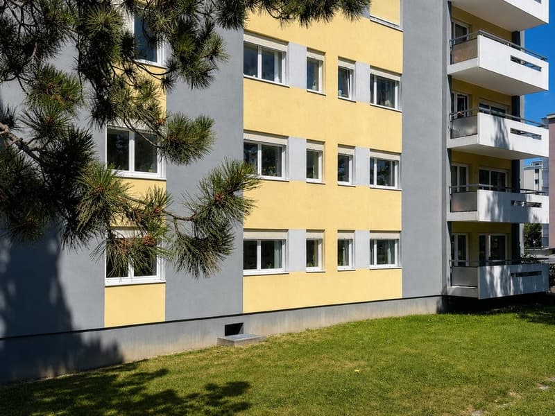 Image_3_juil._2026_17_33_55.png
