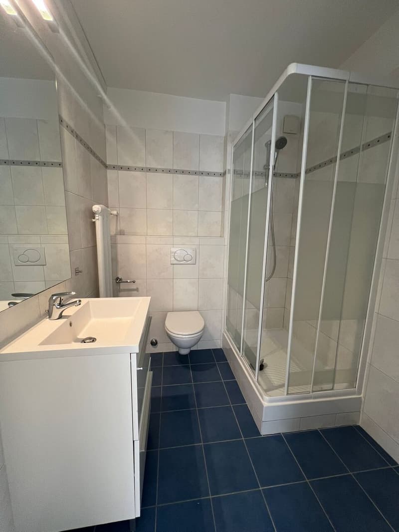 Magnifique appartement de 2,5 pièces meublé avec vue sur le lac et les Alpes (6)