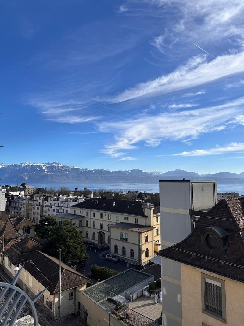 Magnifique appartement de 2,5 pièces meublé avec vue sur le lac et les Alpes (6)