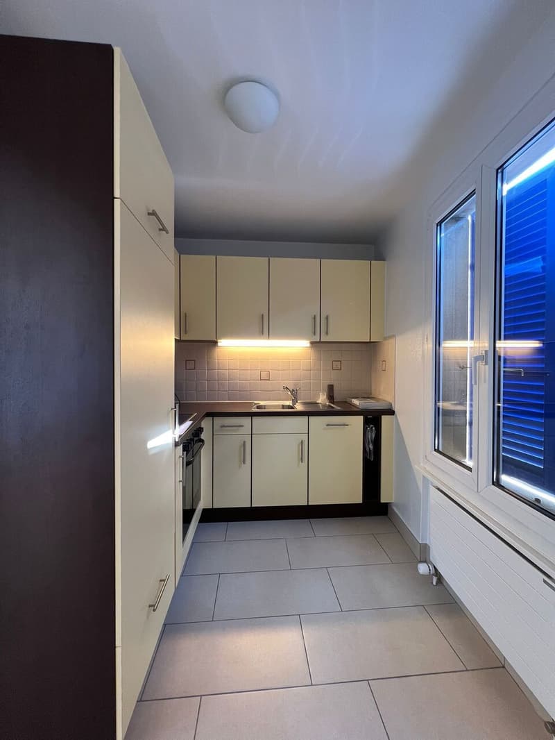 Magnifique appartement de 2,5 pièces meublé avec vue sur le lac et les Alpes (3)