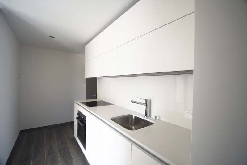 Appartement moderne de 2,5 pièces au rez-inférieur (2)