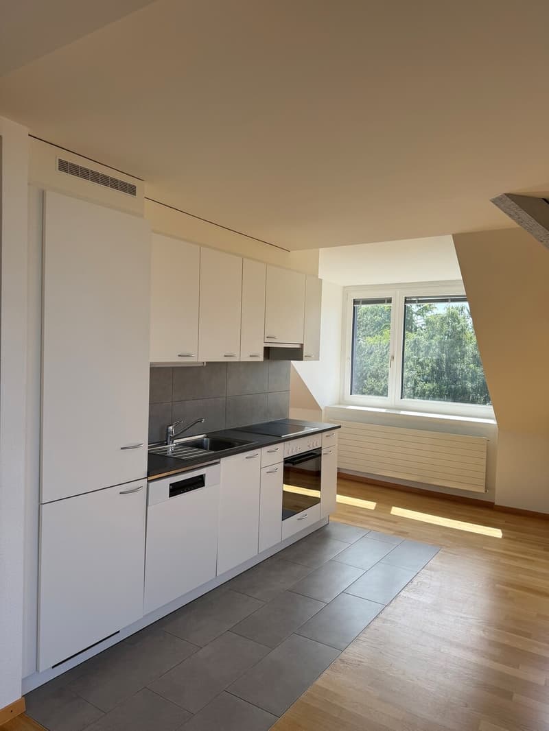 Luxueux appartement neuf avec vue imprenable sur le lac (2)