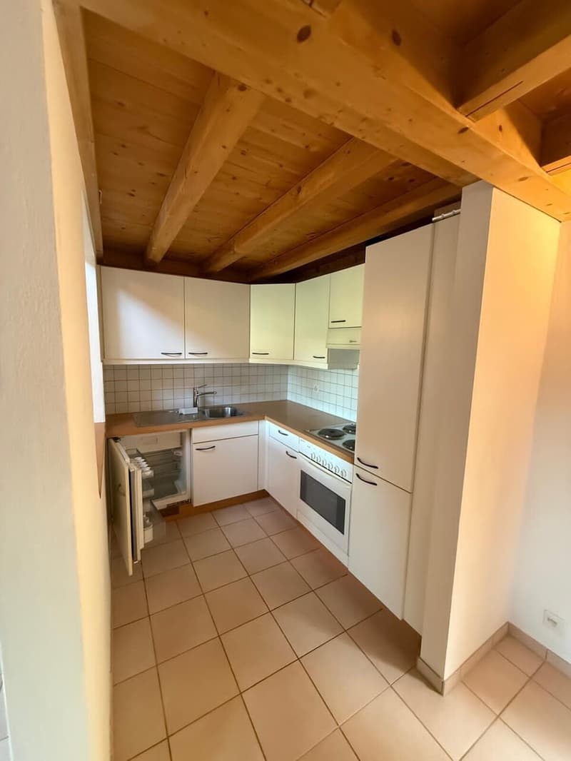 Appartement de 2.5 pièces dans les combles (3)