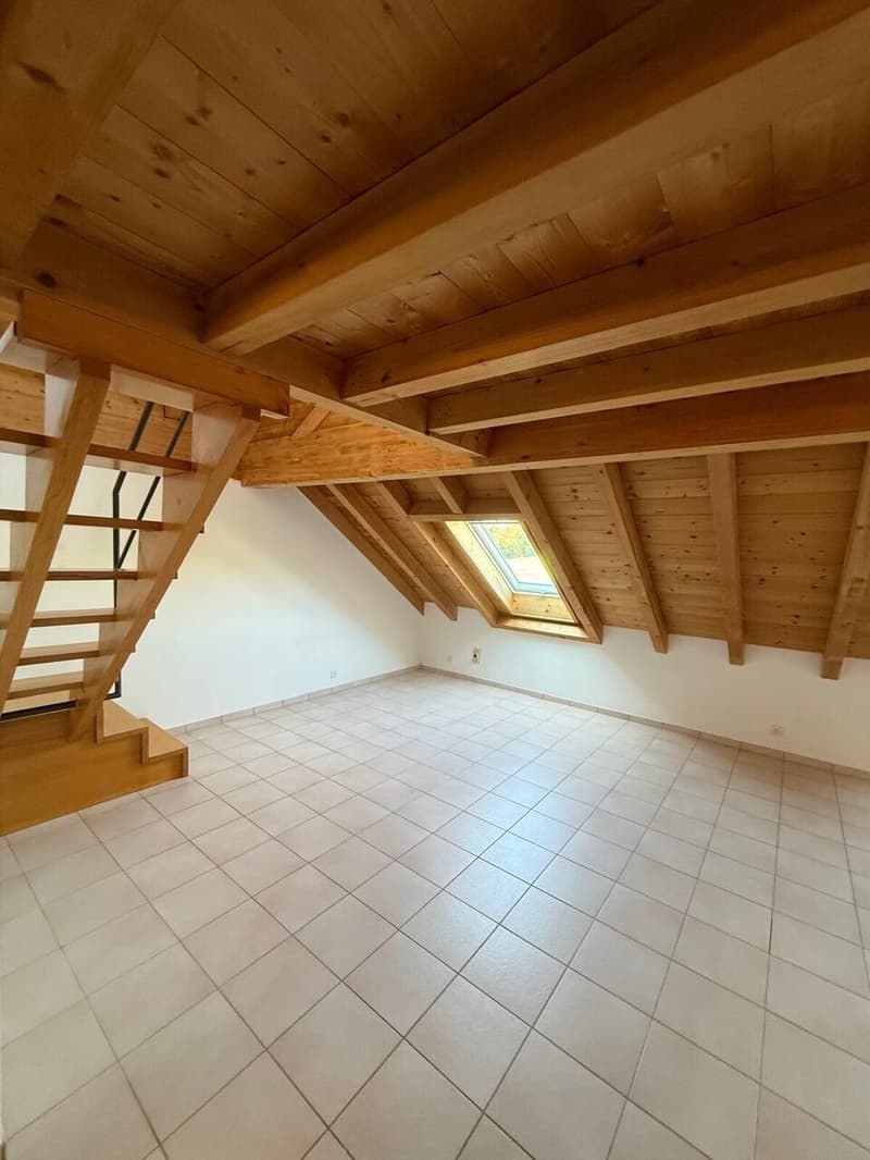Appartement de 2.5 pièces dans les combles (2)