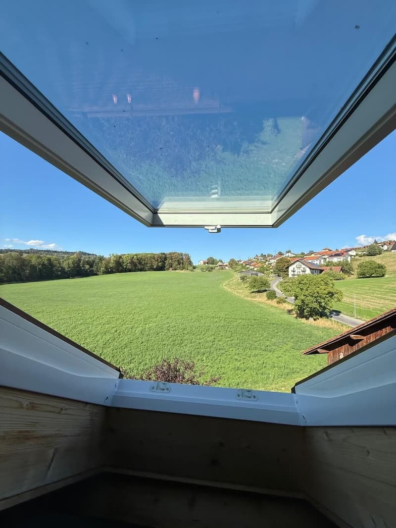 Appartement de 2.5 pièces dans les combles (8)