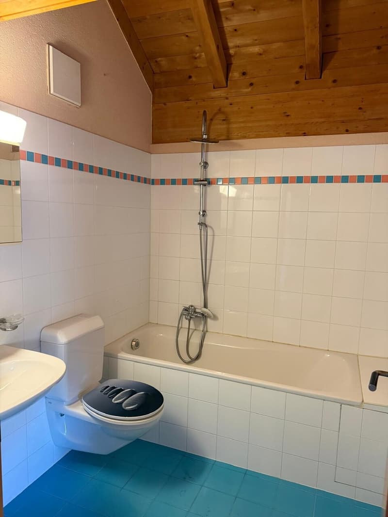 Appartement de 2.5 pièces dans les combles (6)