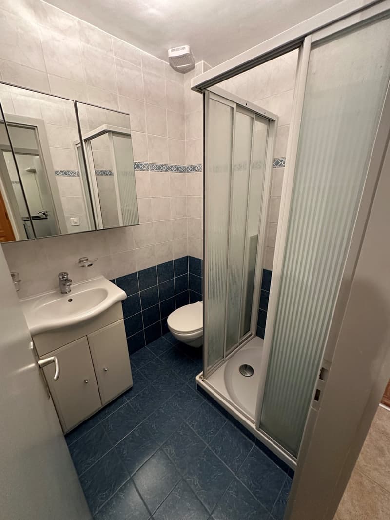 Salle de douche
