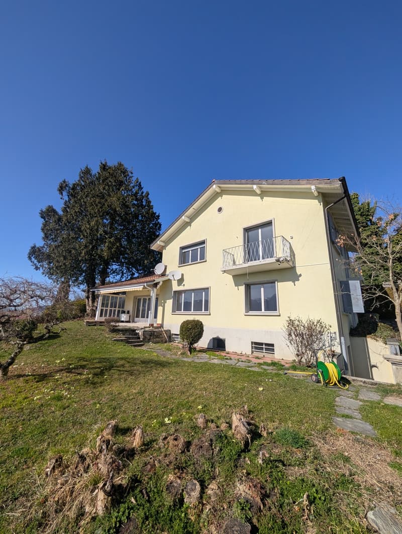 Maison