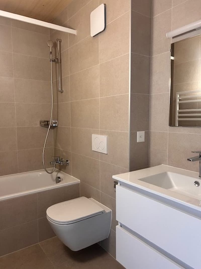 Salle-de-bains-WC