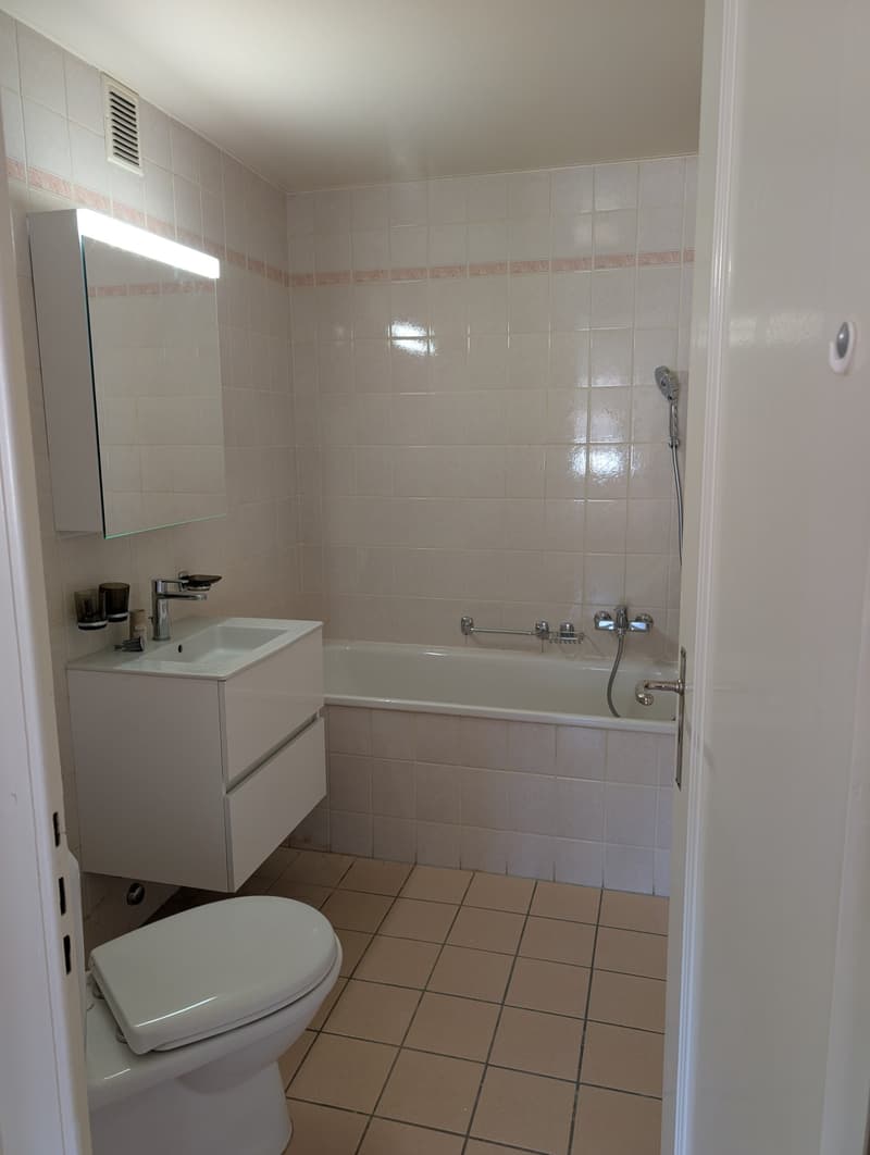 salle de bains-wc