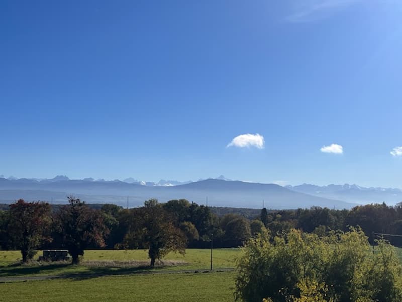 Maison individuelle en viager près de Nyon avec vue panoramique sur le lac (1)