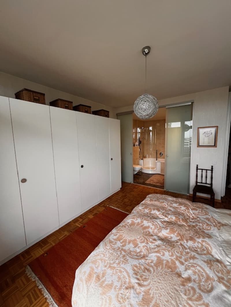 Très bel appartement en viager au Petit-Saconnex avec vue lac et jet de Genève (11)