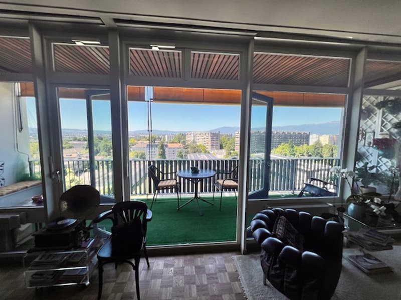 Très bel appartement en viager au Petit-Saconnex avec vue lac et jet de Genève (7)