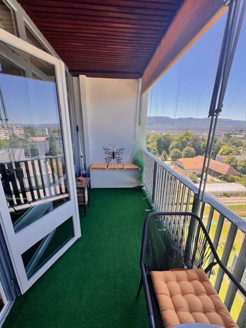 Très bel appartement en viager au Petit-Saconnex avec vue lac et jet de Genève (4)