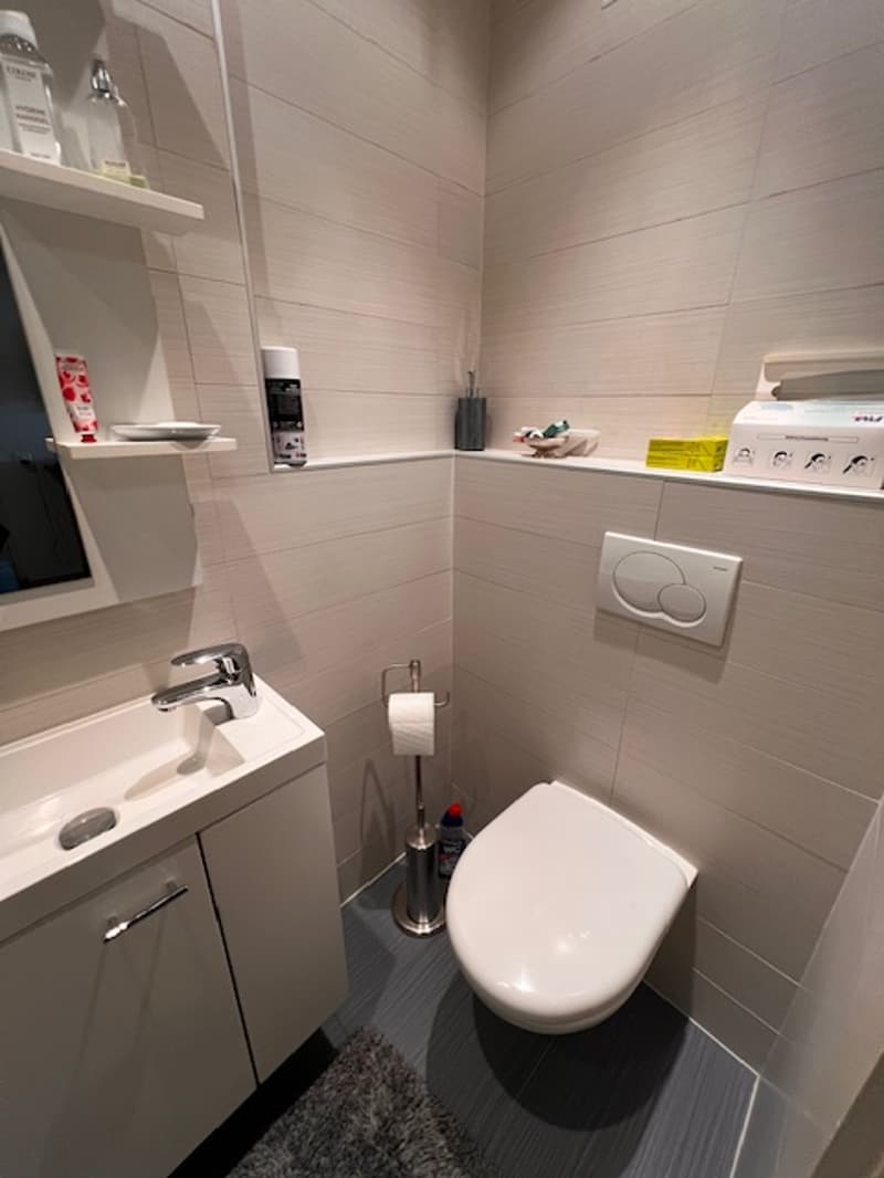 Très bel appartement en viager au Petit-Saconnex avec vue lac et jet de Genève (13)