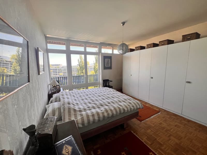 Très bel appartement en viager au Petit-Saconnex avec vue lac et jet de Genève (10)