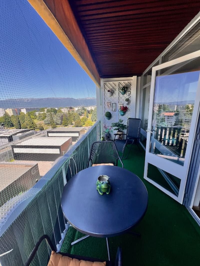 Très bel appartement en viager au Petit-Saconnex avec vue lac et jet de Genève (5)