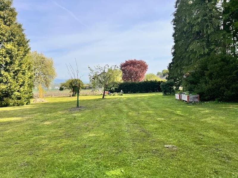 Grande maison villageoise en viager dans la campagne genevoise de Satigny (5)