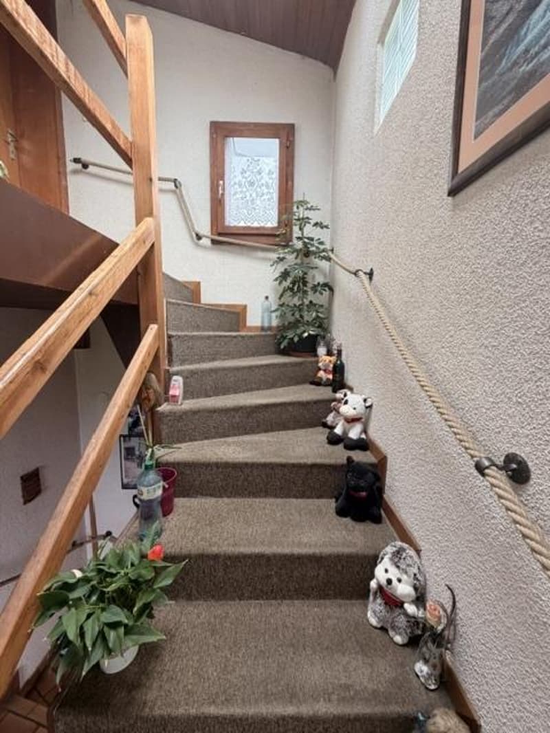 Maison en viager à Gimel (6)