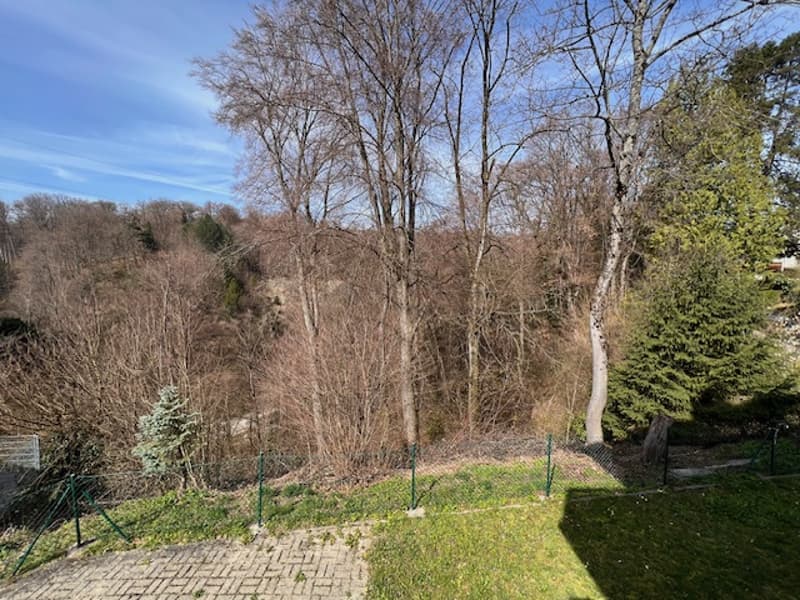 Maison avec deux appartements en viager semi occupé à Lausanne Vennes (3)