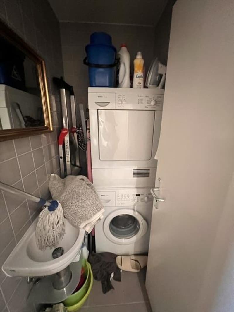 Attique en viager à Founex (12)