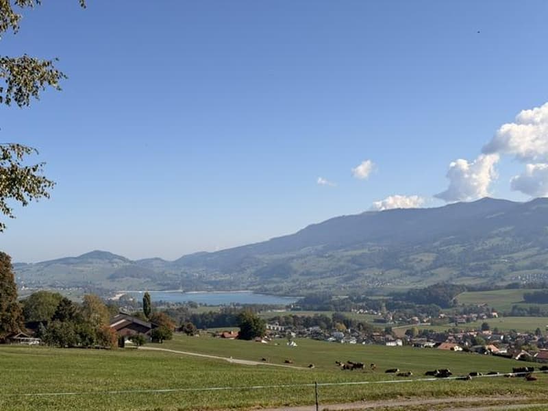 Maison individuelle en viager avec vue sur le lac et les montagnes (2)