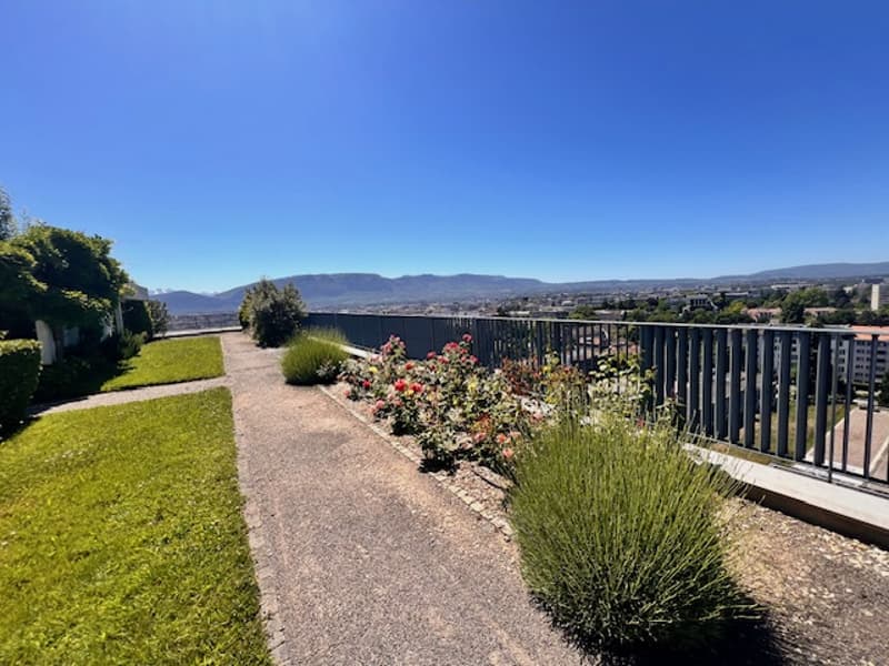 Superbe appartement en viager vue lac à Genève (6)