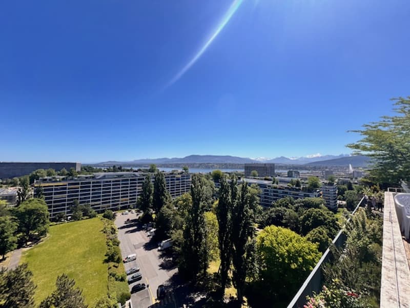 Superbe appartement en viager vue lac à Genève (8)