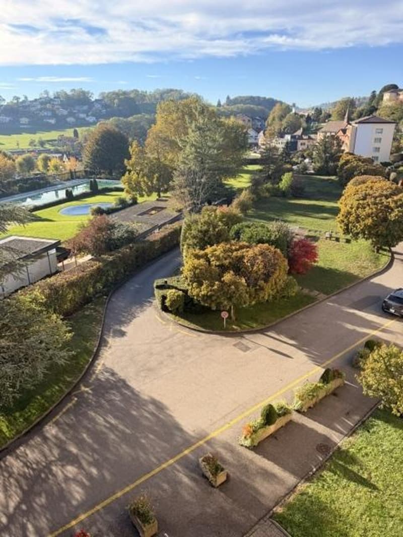 Appartement vue lac en viager à Chexbres (3)