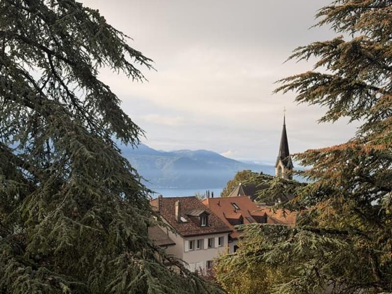 Appartement vue lac en viager à Chexbres (6)
