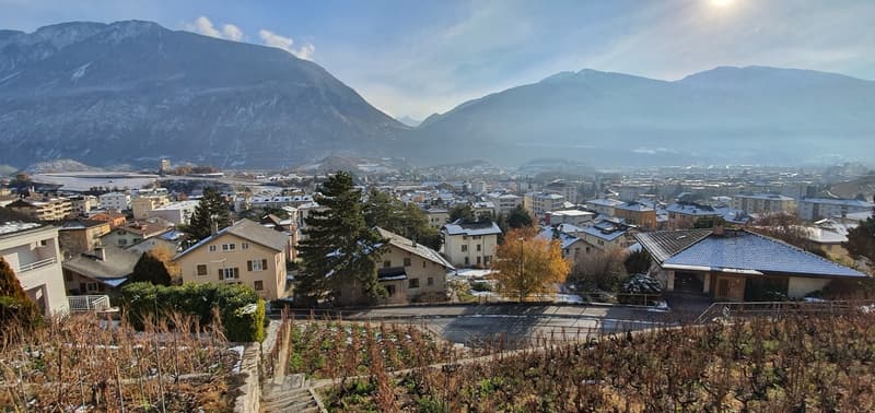 Vue Sud
