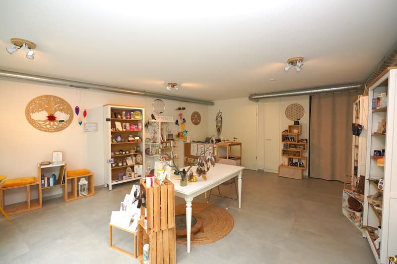 LOCAL COMMERCIAL À VENDRE À SIERRE (5)