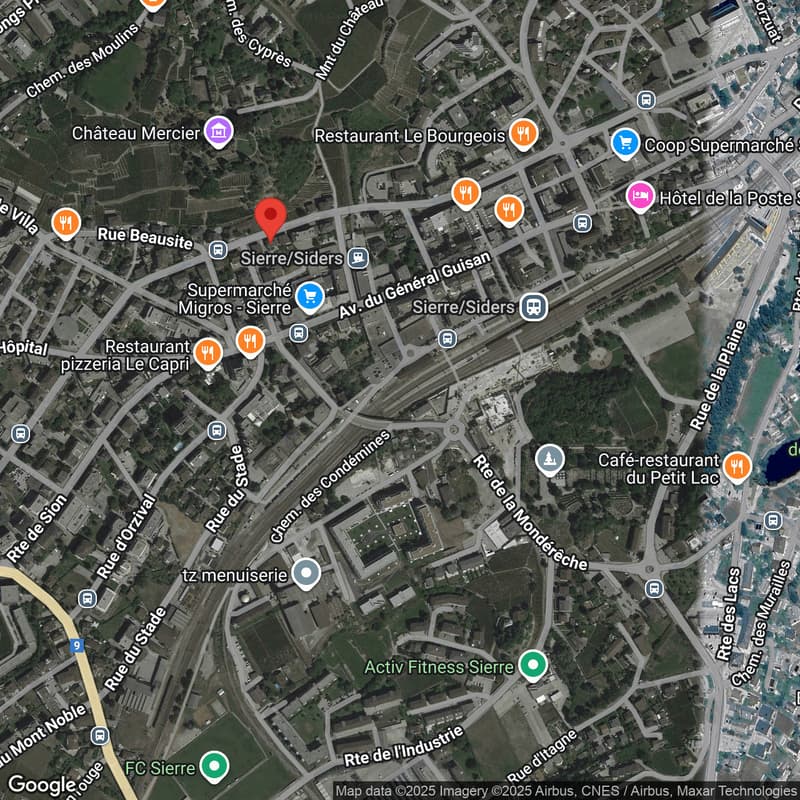 SURFACE COMMERCIALE  À SIERRE (8)