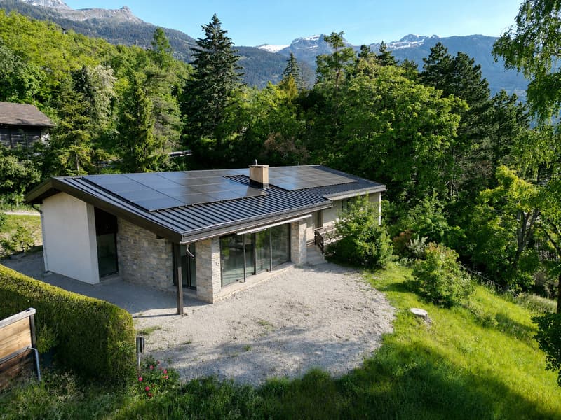 VILLA 4.5 PCES AVEC APPT. 2.5 PCES EN RÉNOVATION | VENTHÔNE (1)