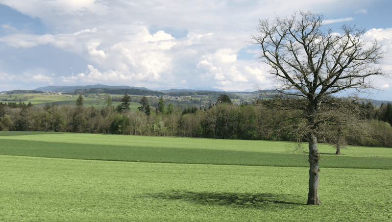 Nouvelle promotion de 4 villas individuelles (9)