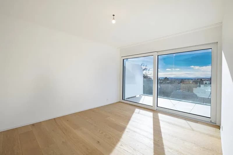 Très bel appartement neuf avec vue panoramique sur le Lac et les Alpes (5)