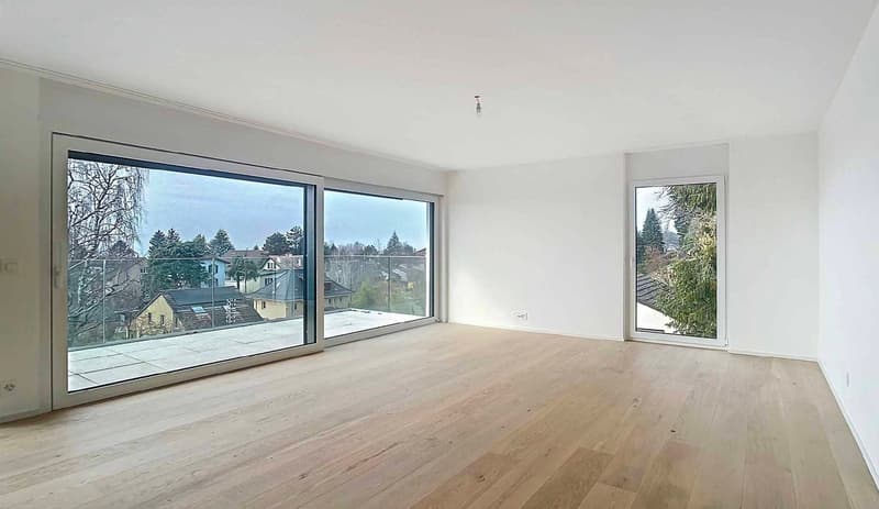 Très bel appartement neuf avec vue panoramique sur le Lac et les Alpes (2)