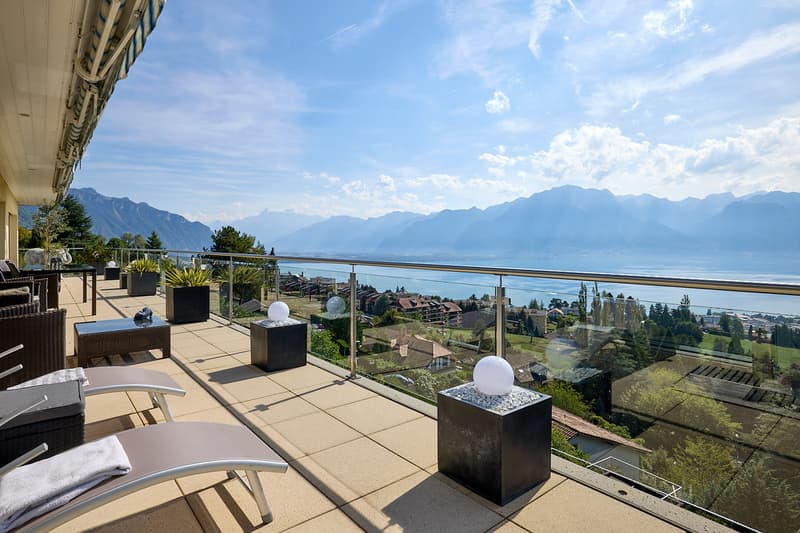 Très bel appartement avec vue exceptionnelle sur le Lac et les Alpes (3)