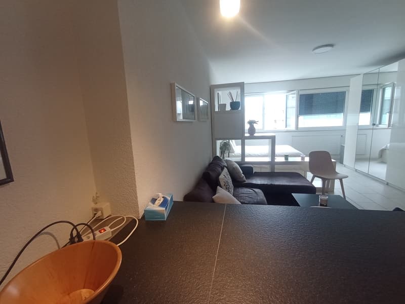 Eaux-Vives / Genève - Studio Meublé de +/- 42 m² - À deux pas du Lac (7)