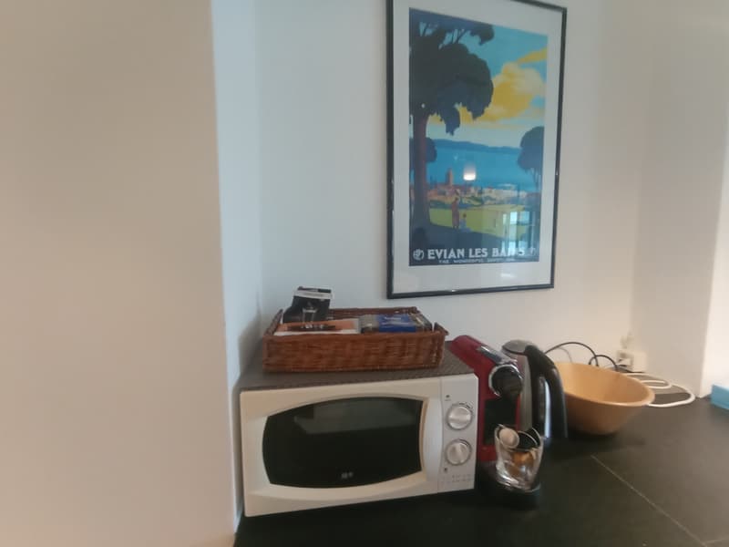 Eaux-Vives / Genève - Studio Meublé de +/- 42 m² - À deux pas du Lac (3)