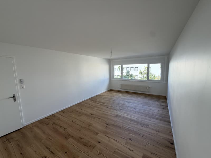 Magnifique appartement de 4.5 pièces entièrement rénové au centre de Sierre (3)