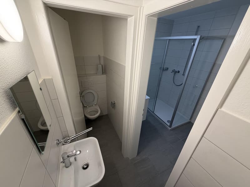 Magnifique appartement de 4.5 pièces entièrement rénové au centre de Sierre (10)