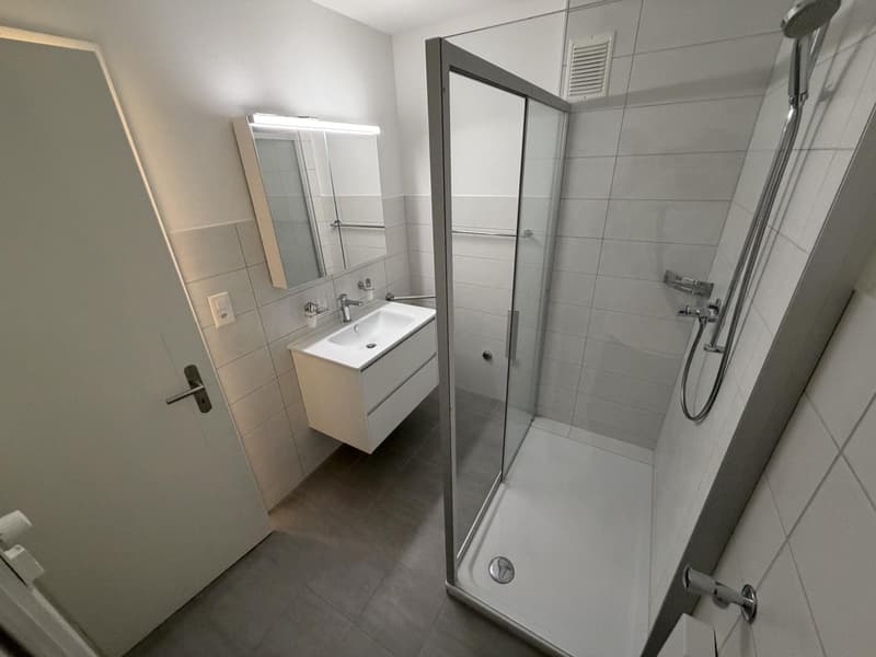 Magnifique appartement de 4.5 pièces entièrement rénové au centre de Sierre (11)