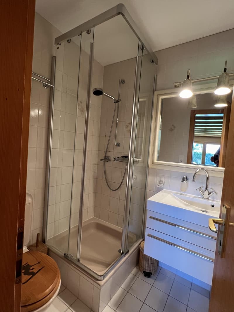 Bel appartement de 3 pièces au rez-pelouse (5)