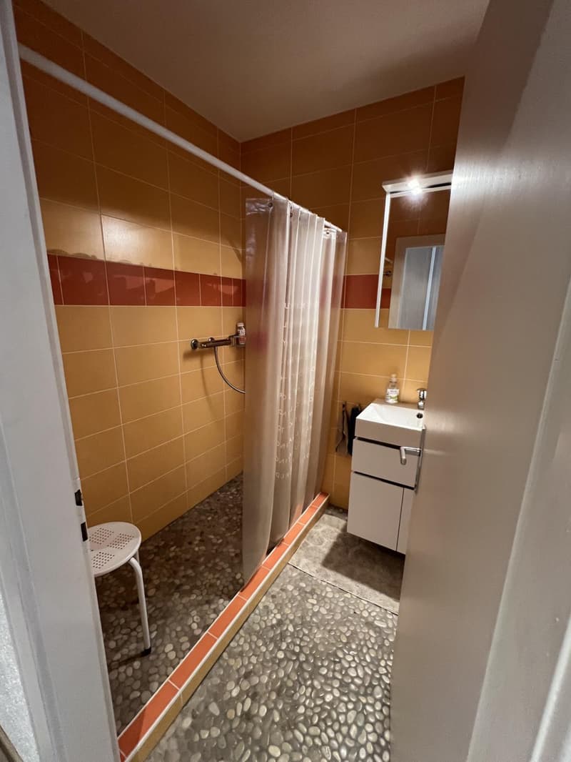 Grand studio entièrement rénové proche du centre de Montana (6)